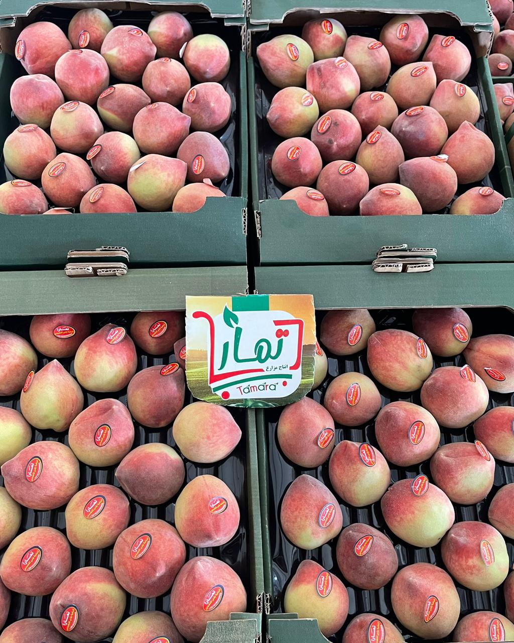 Egyptian nectarines in retail clamshell packaging