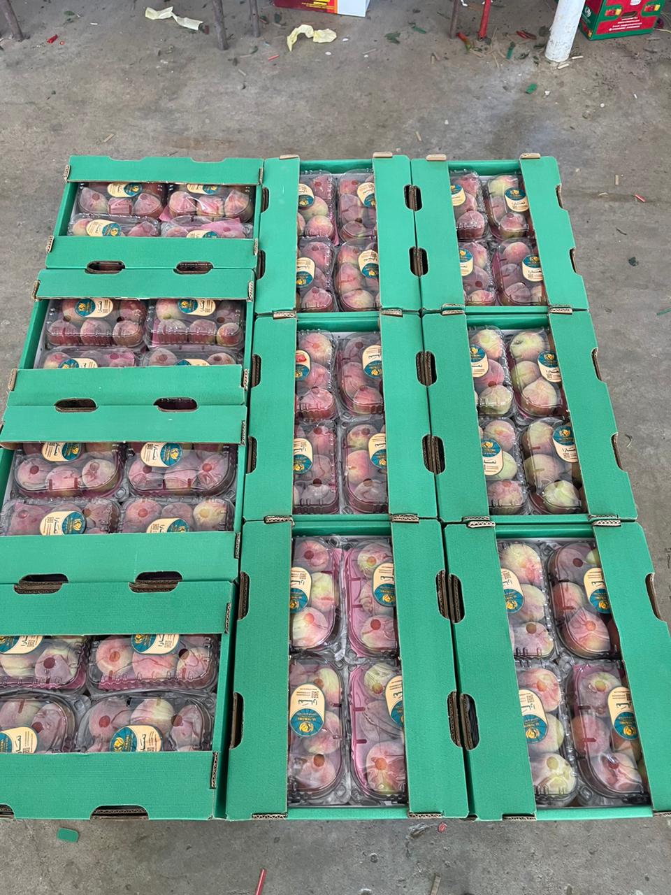 Egyptian stone fruit bulk export cartons