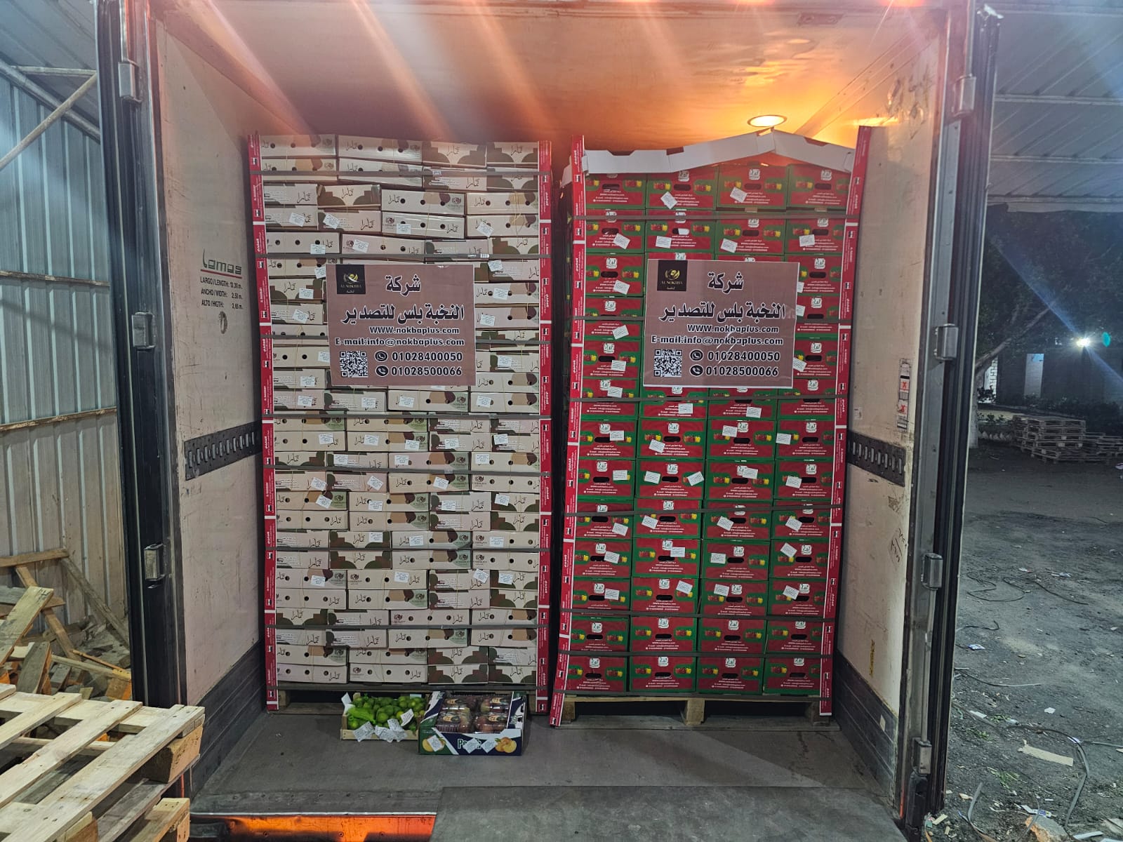 Egyptian peaches premium export grade