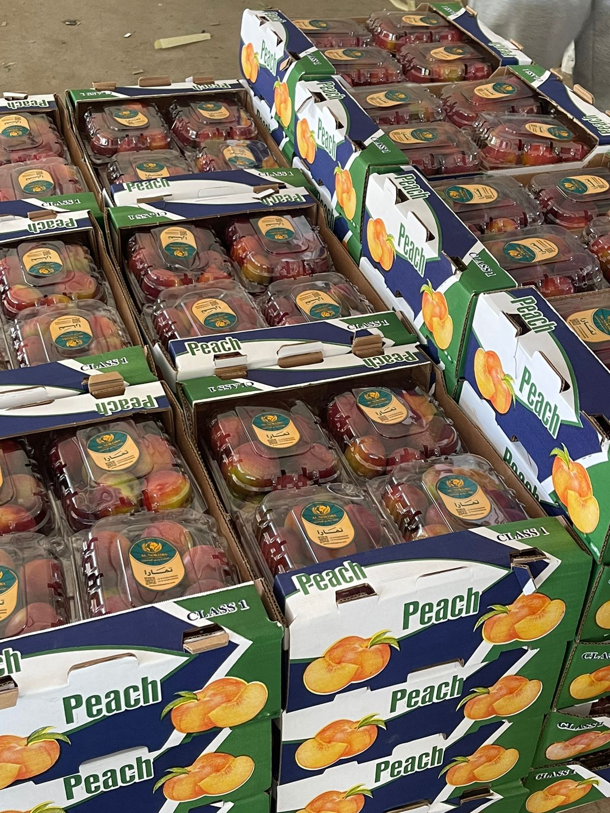 Egyptian nectarines export packaging